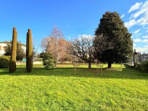 Casale