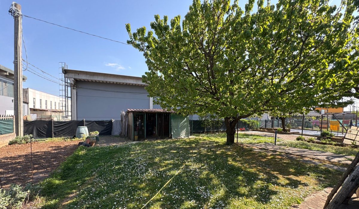 00daaaea-f5f7-4f09-8380-d1f01065c4bd