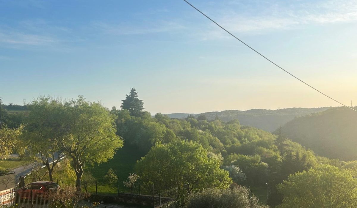 112182db-1992-45c8-b791-e3f3c5d3d856