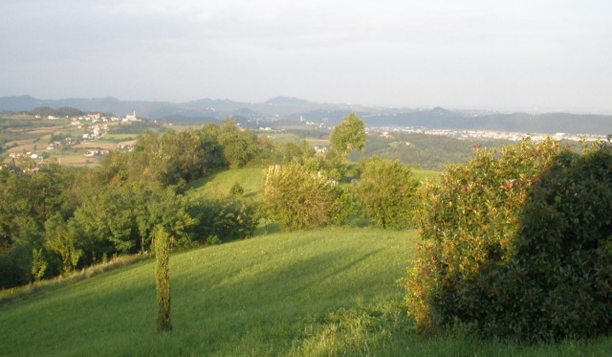 6 vista