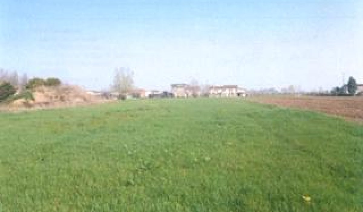 295 Terreno di proprietà