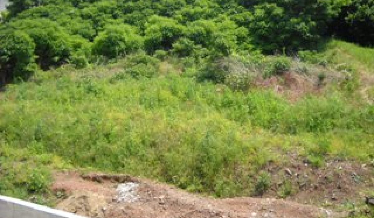 810 Terreno