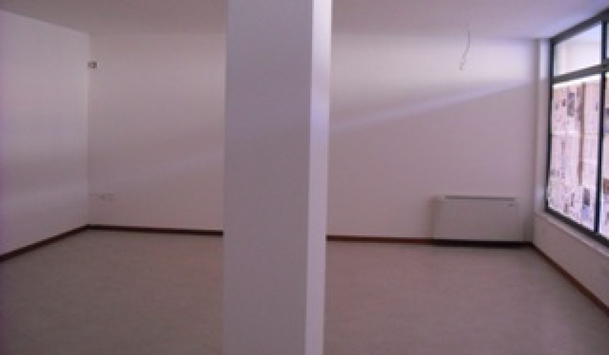 336 Negozio