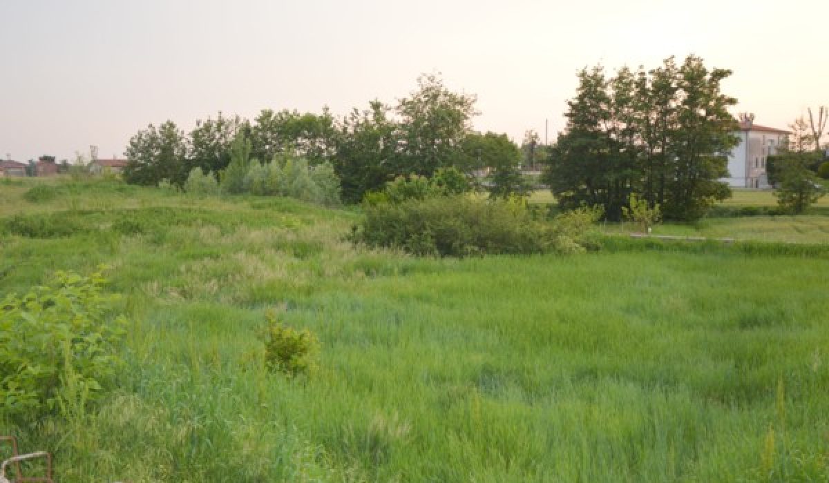 332 terreno