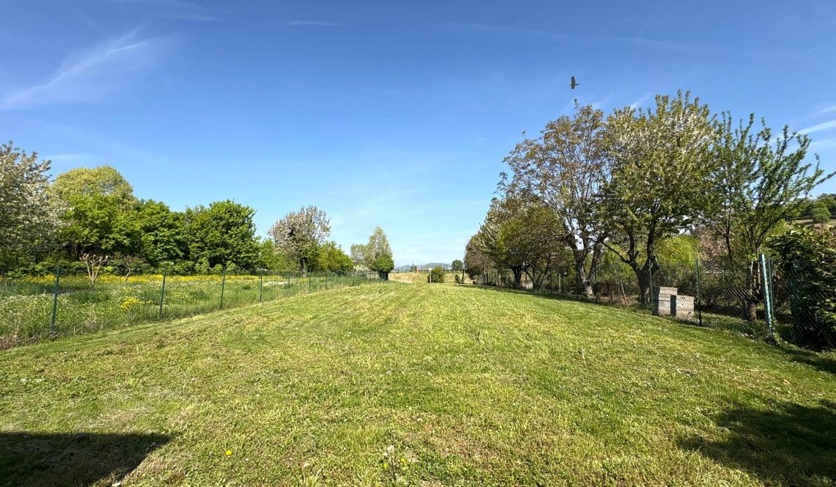 1c9b4257-ec87-4c31-be5e-48331a6d72a0