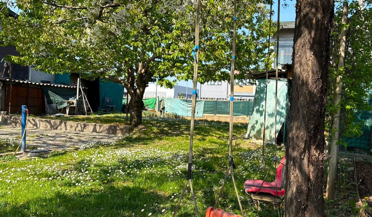 25003d84-b1ce-4f13-891f-c02840aaa683