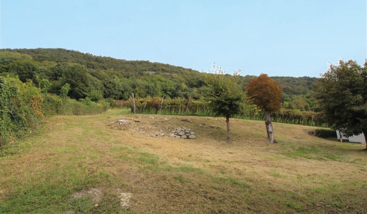 2dd0a2c8-e9d8-4f73-9bb7-6bda98665788