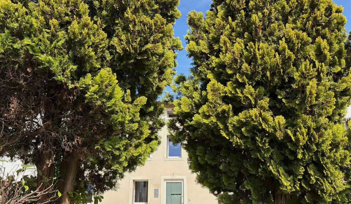 30cbd27b-b4a7-44fb-b339-369281ca3e02