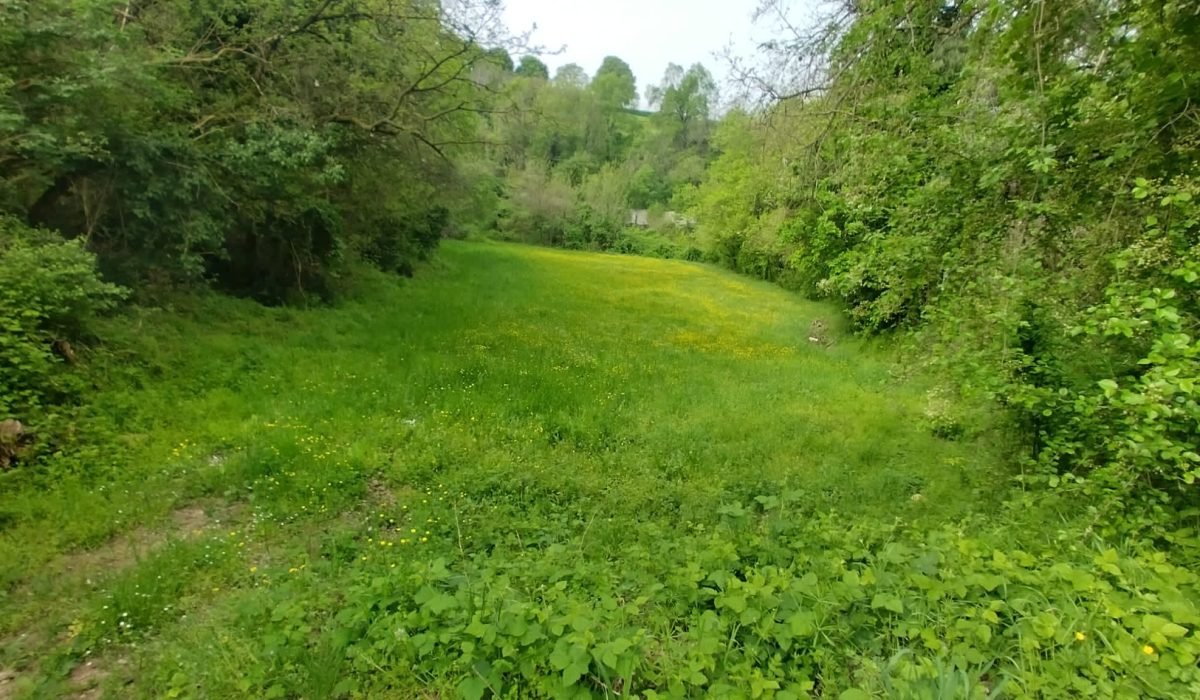 35fc602b-91e8-4fac-8e3c-0ab0a952e153