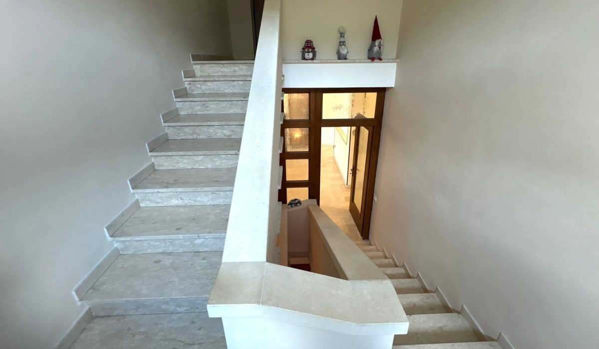 72e2deb2-3514-4859-867e-9e018c57ee48