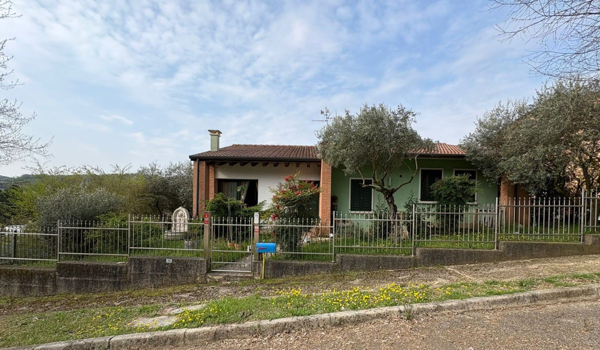 97ed50d4-d137-428d-bb51-76f3f448737b