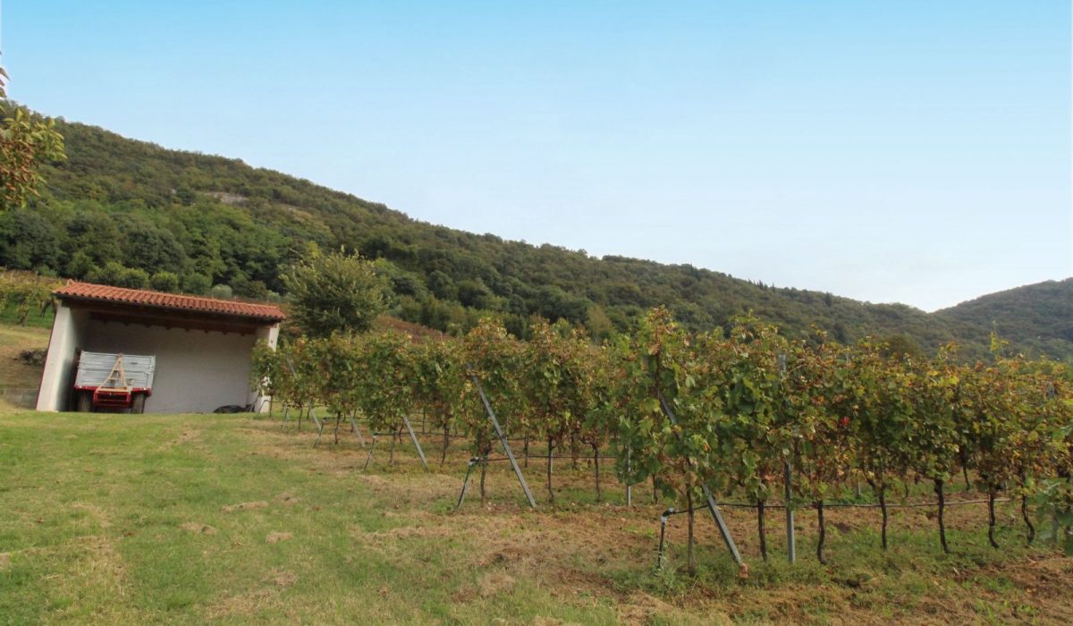 9b64c1a1-7193-4540-85cf-7f38f15dac3e