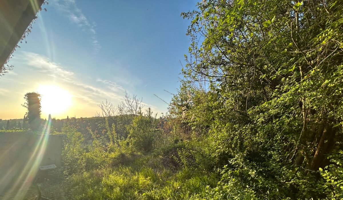 9da6741a-c4ad-4667-9672-df8fa61198a2