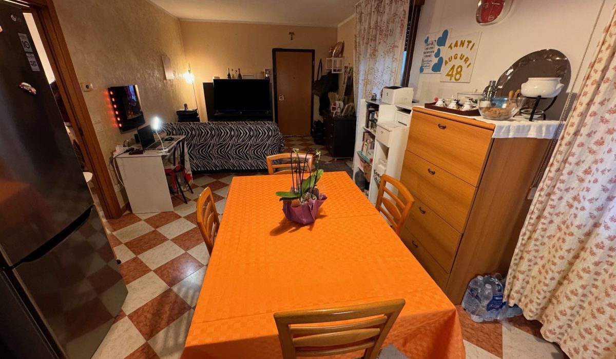 B modificata