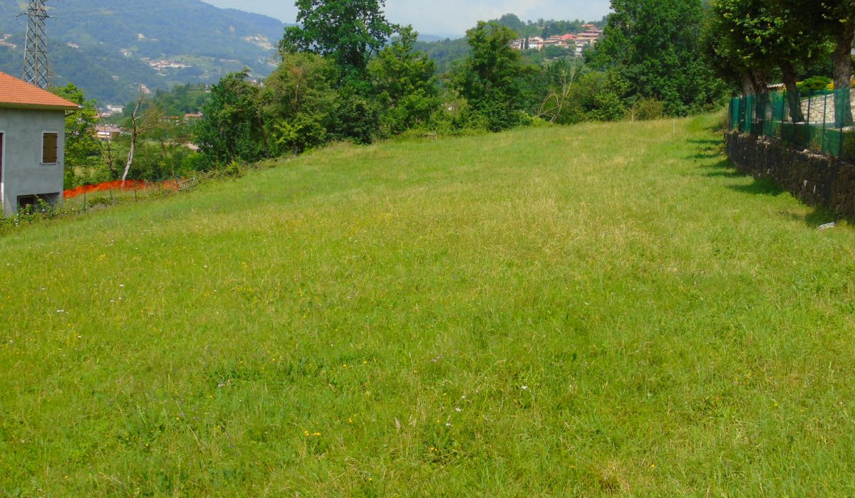 DSC03204
