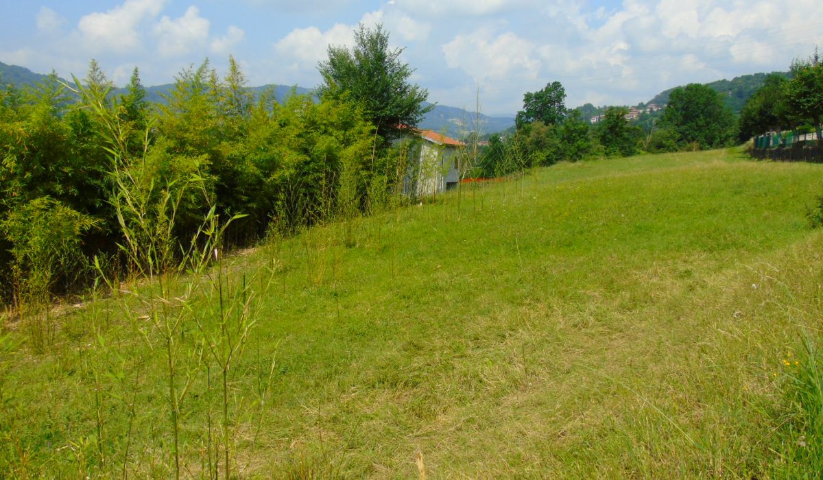 DSC03206