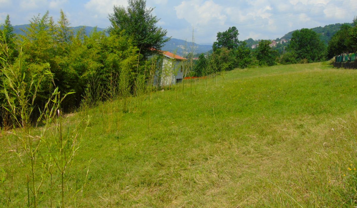 DSC03207