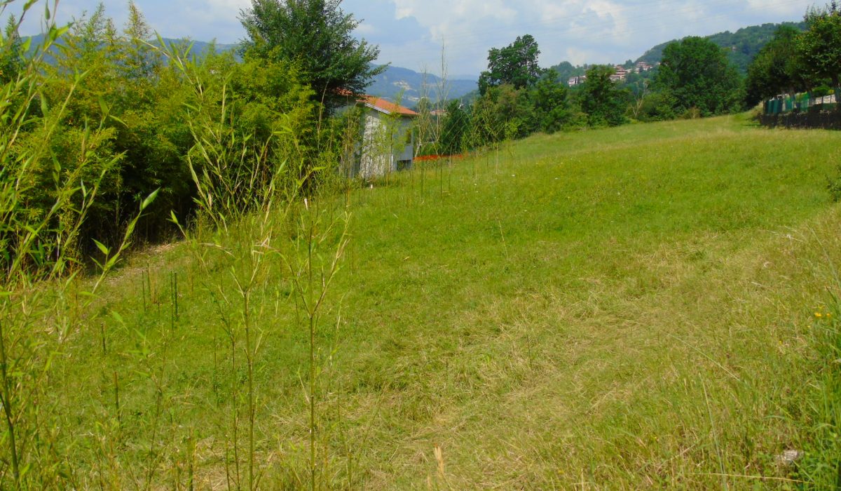 DSC03208