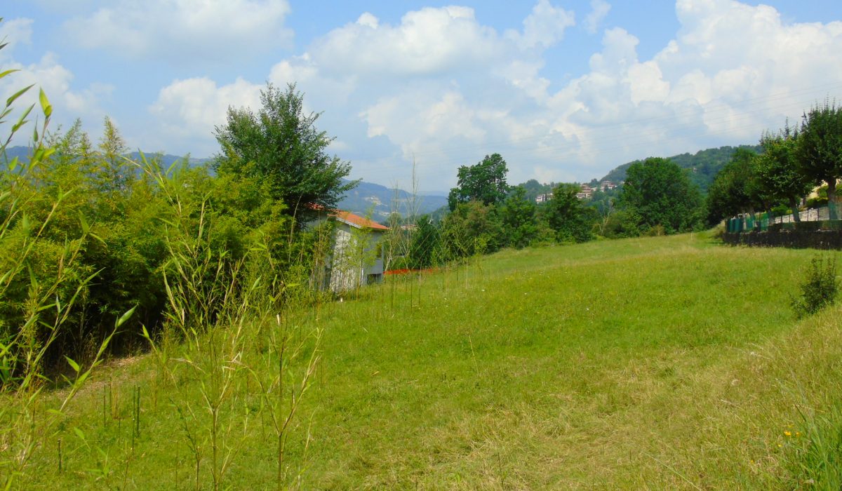 DSC03209