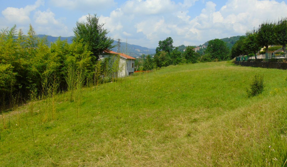 DSC03210