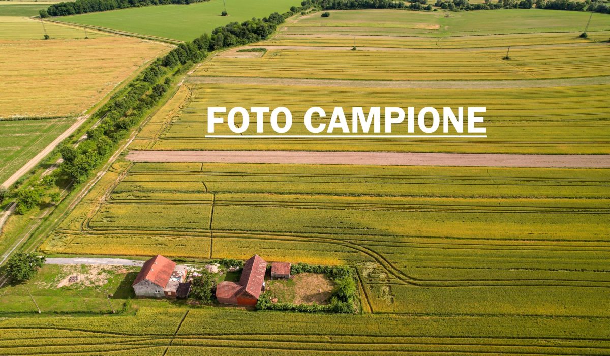 FOTO CAMPIONE