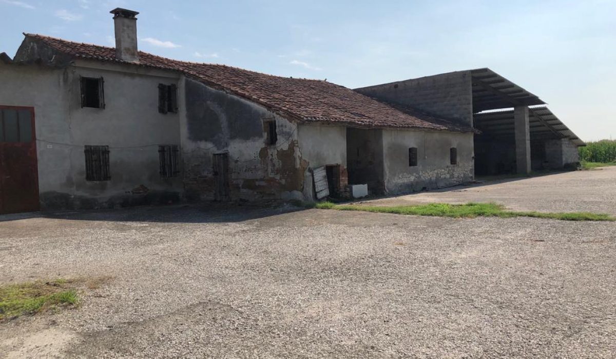IMG-20190731-WA0010