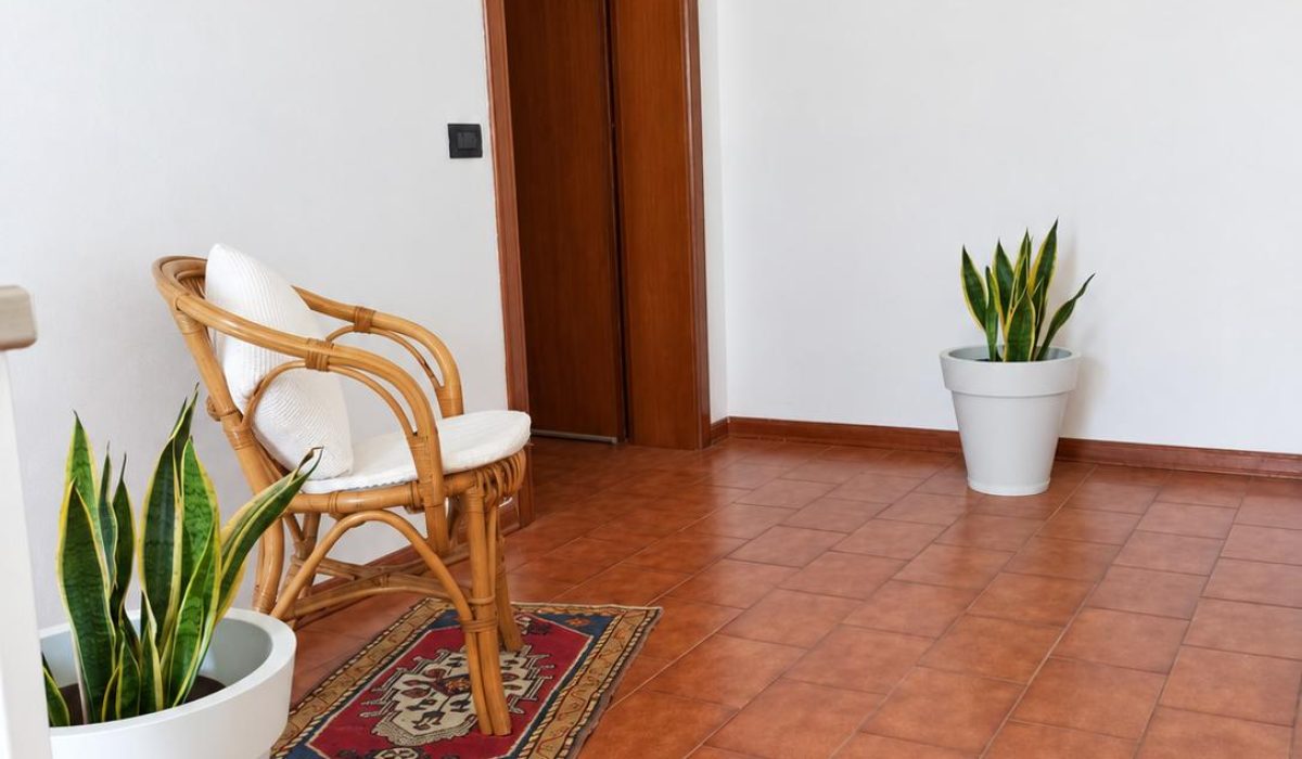 INGRESSO