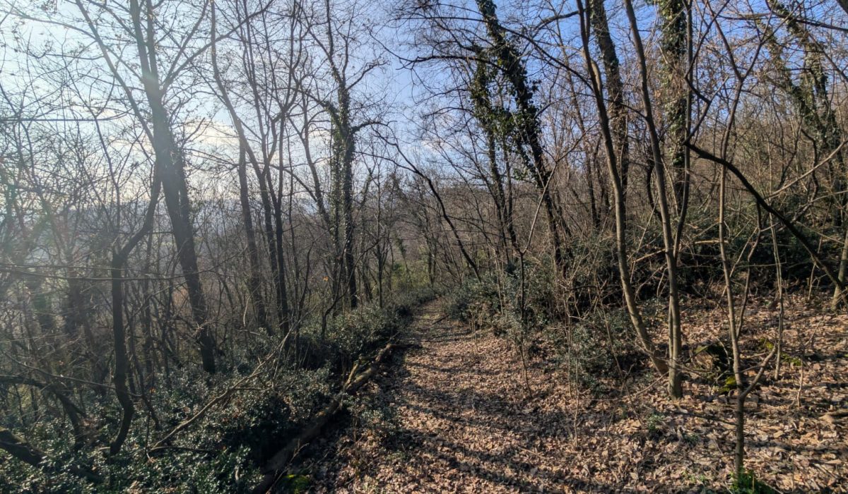 Immagine WhatsApp 2025-01-29 ore 18.30.15_46305b16