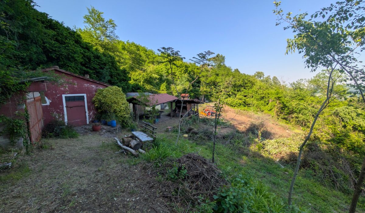 Immagine WhatsApp 2025-05-19 ore 11.50.55_2af8a0d2