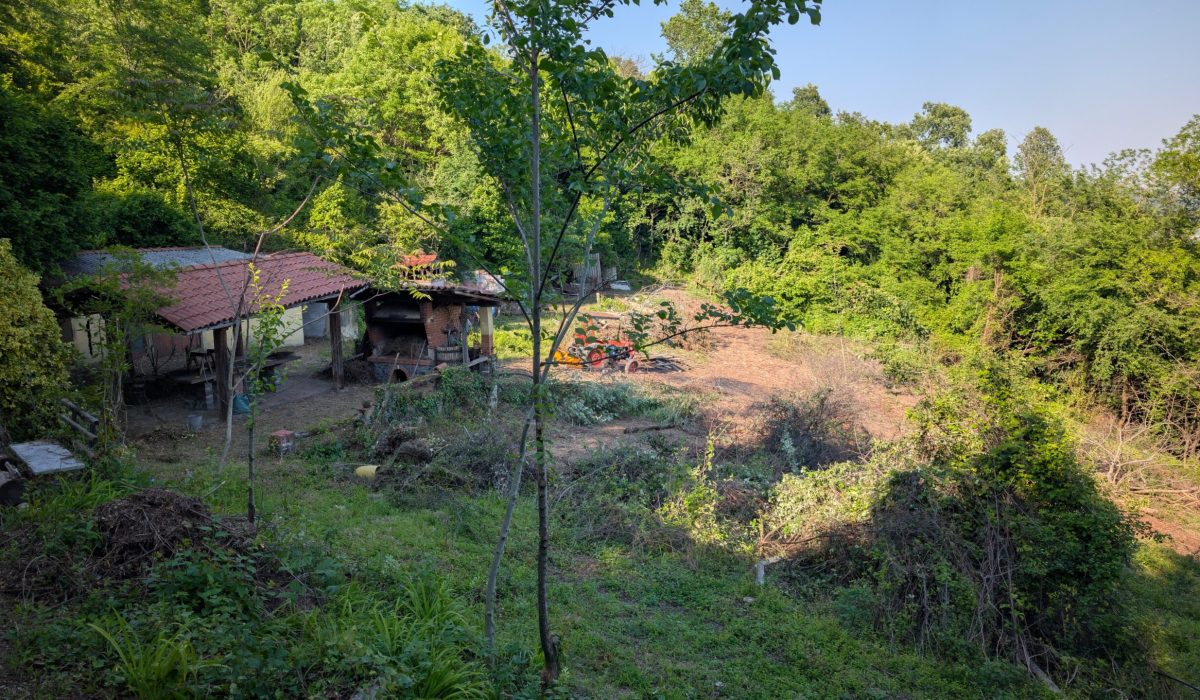 Immagine WhatsApp 2025-05-19 ore 11.50.55_ad5181cf