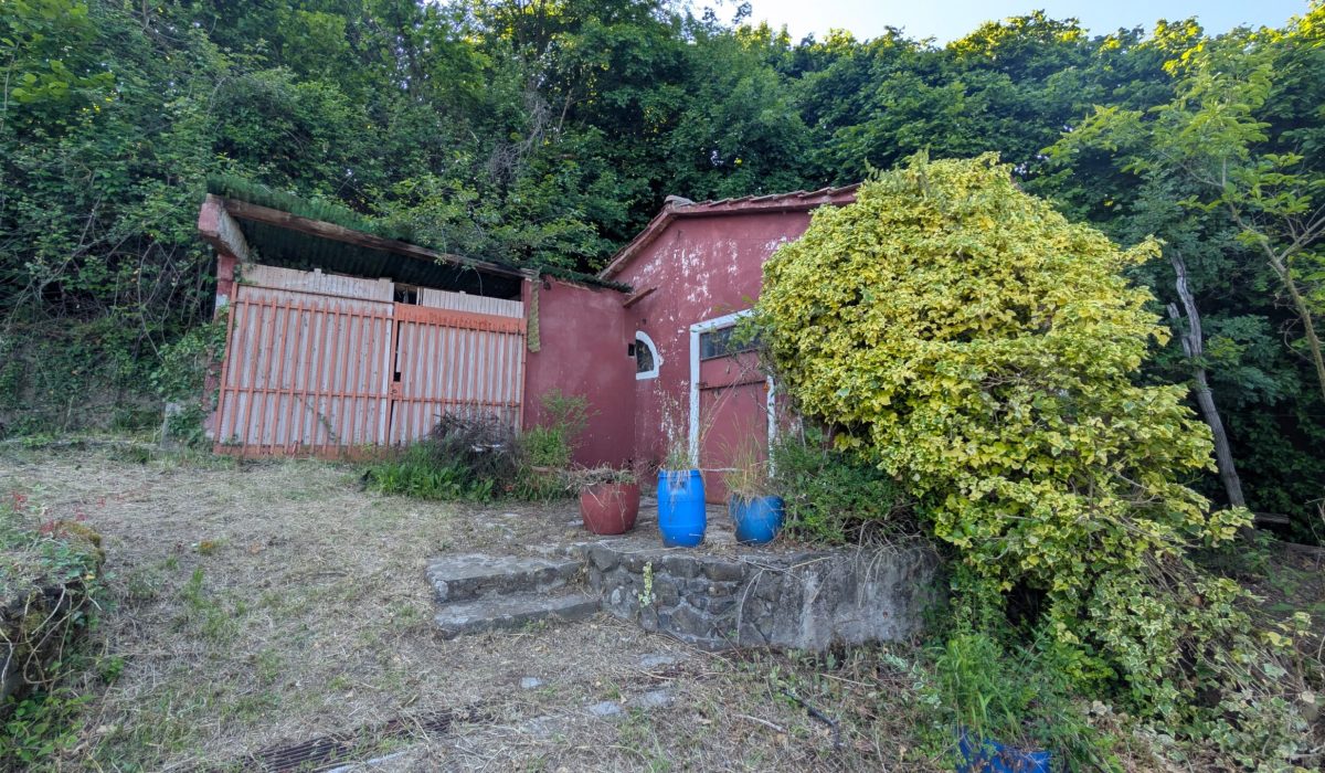 Immagine WhatsApp 2025-05-19 ore 11.50.56_17944f95