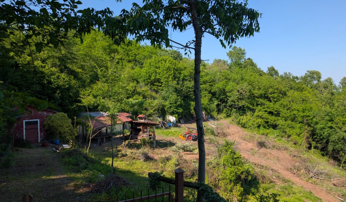 Immagine WhatsApp 2025-05-19 ore 11.50.56_28c06d0b