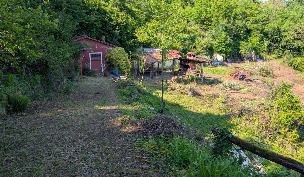 Immagine WhatsApp 2025-05-19 ore 11.50.57_97983ce0