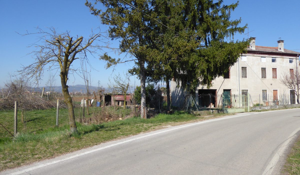 P1000797