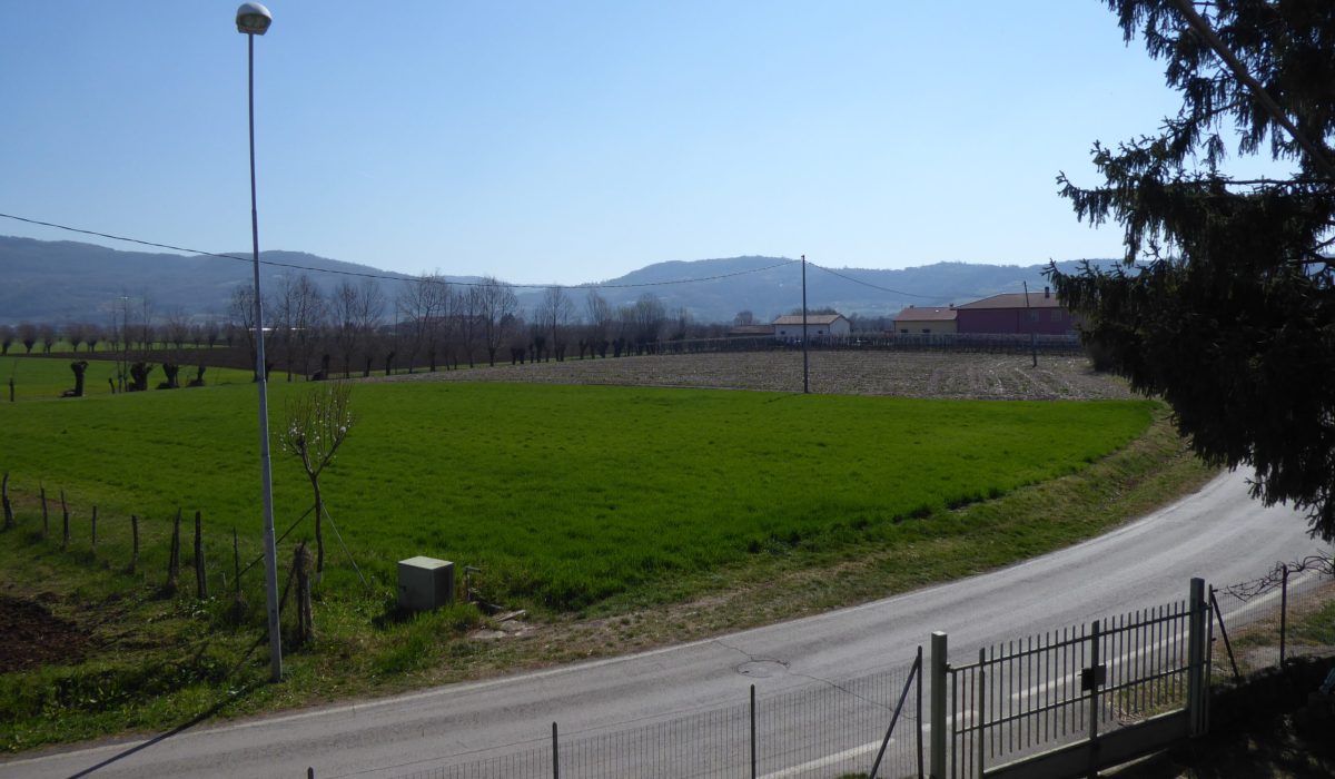P1000806