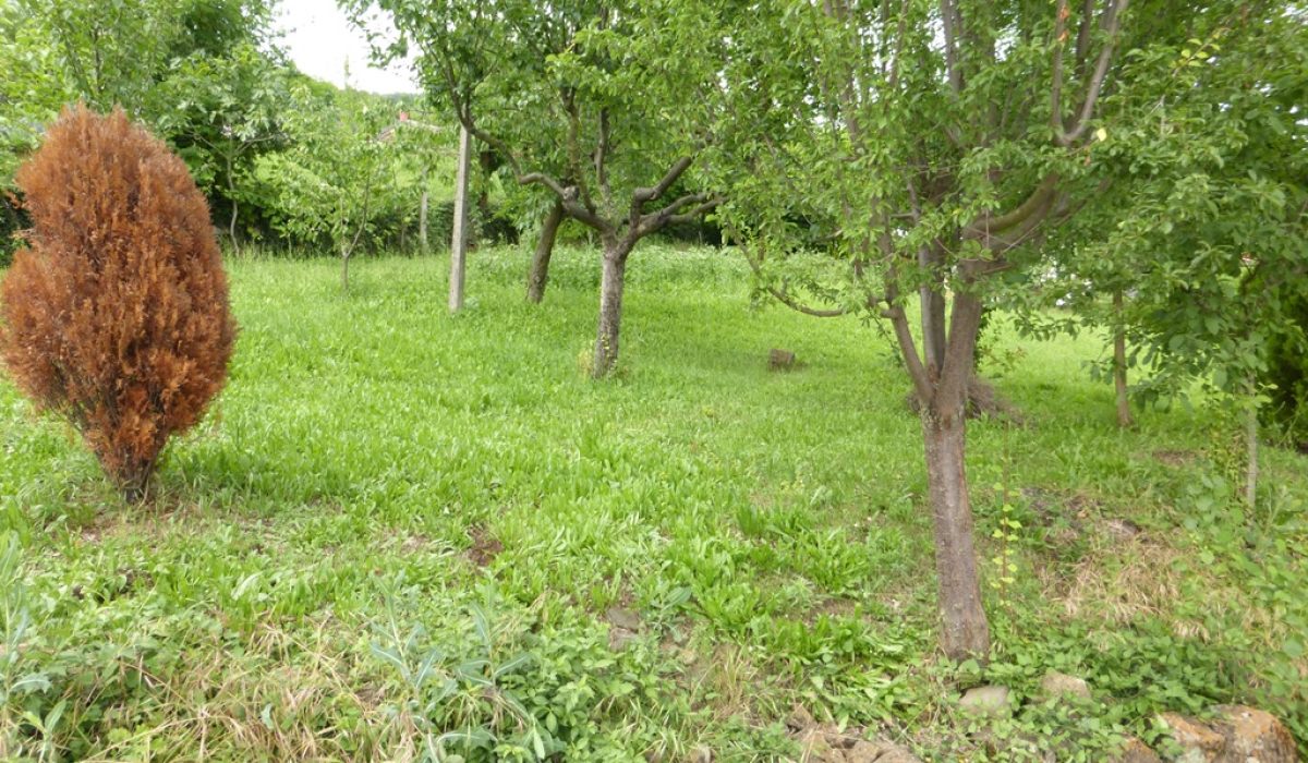 P1100880