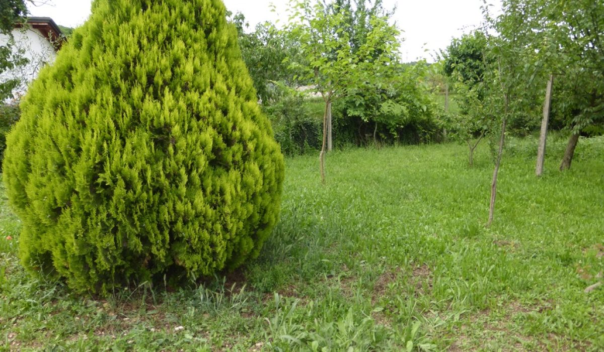 P1100881