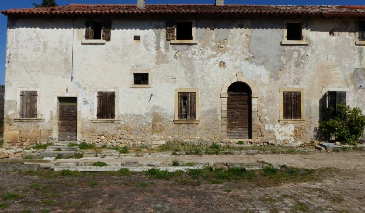 P1130698