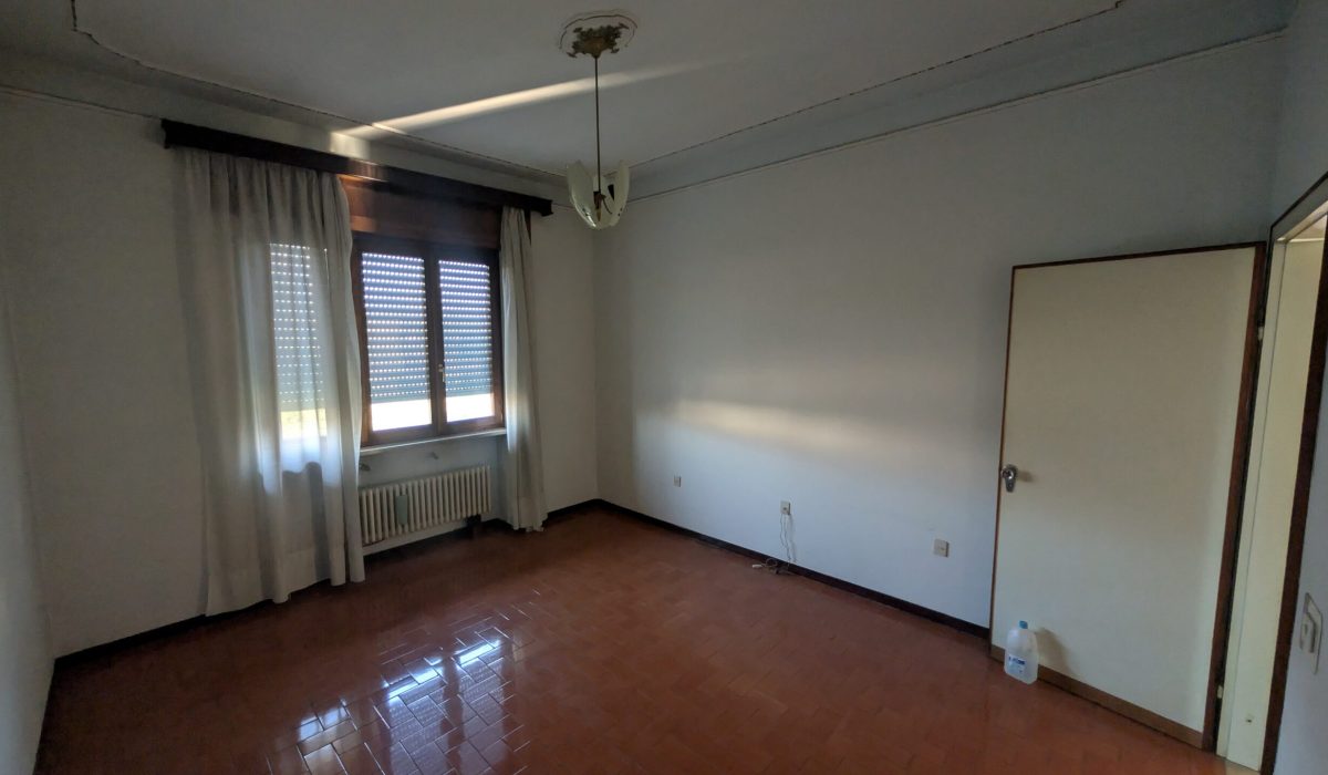 PXL_20250220_143937447