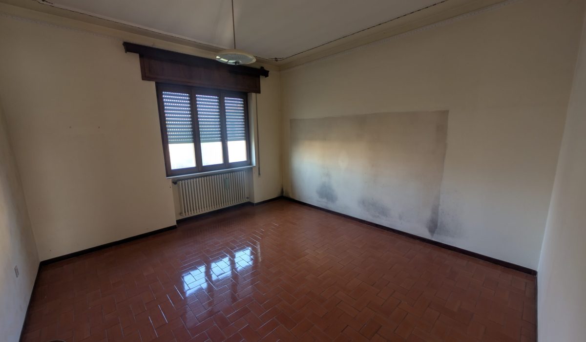 PXL_20250220_143951453