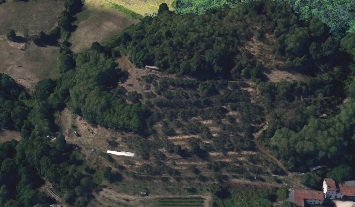 Screenshot 2025-07-04 112544