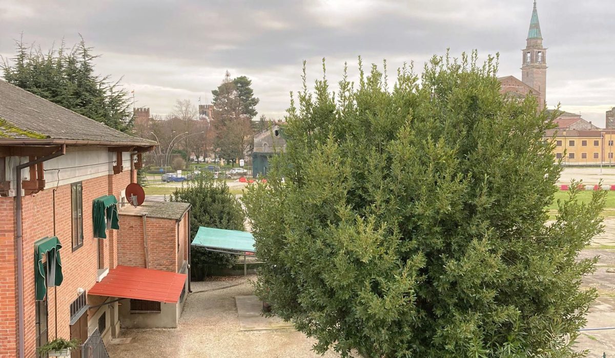 Skype_Picture_2021_03_08T17_36_41_019Z