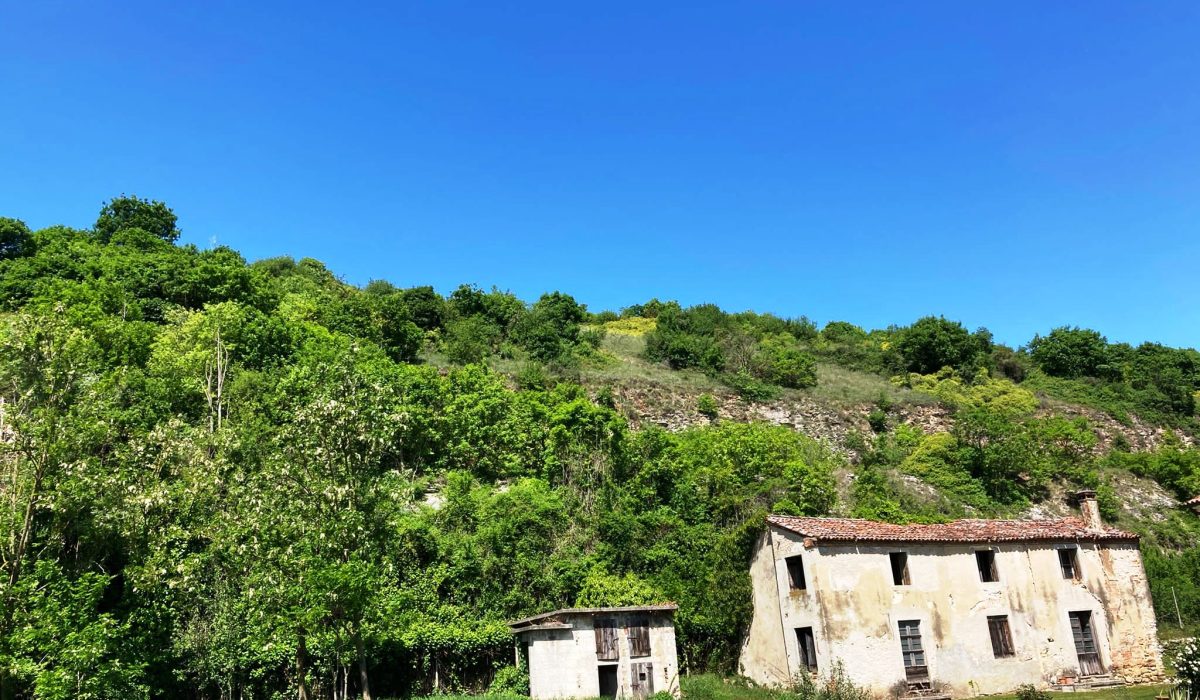 Skype_Picture_2021_05_10T15_14_54_273Z