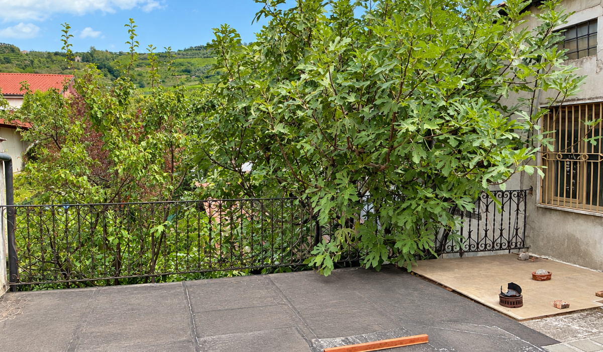 TERRAZZA