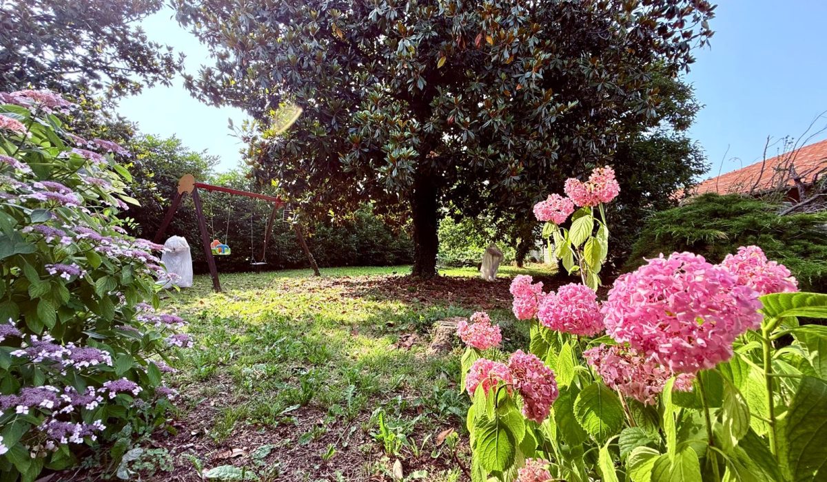 WhatsApp Image 2025-06-12 at 18.39.20 (1)