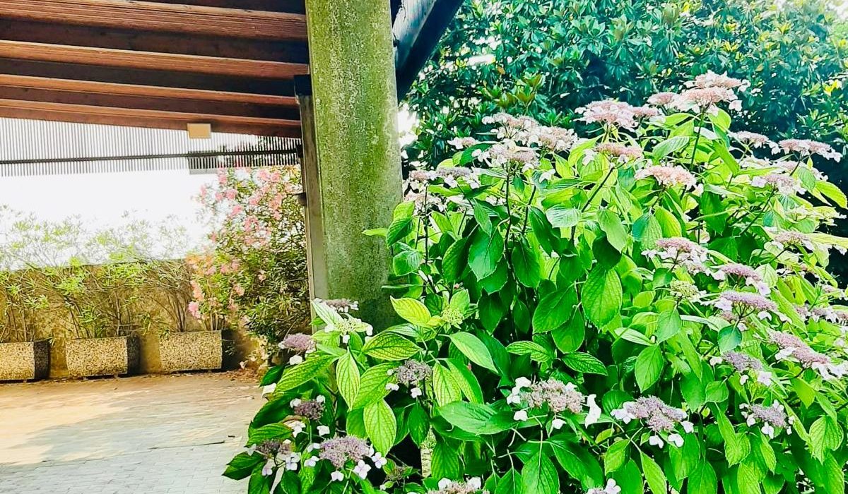 WhatsApp Image 2025-06-17 at 11.14.49 (1)