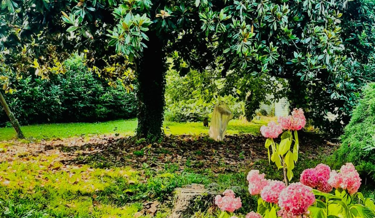 WhatsApp Image 2025-06-17 at 11.14.49