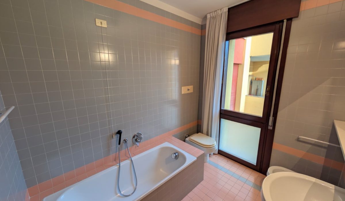 WhatsApp Image 2026-02-16 at 16.50.10 (1)