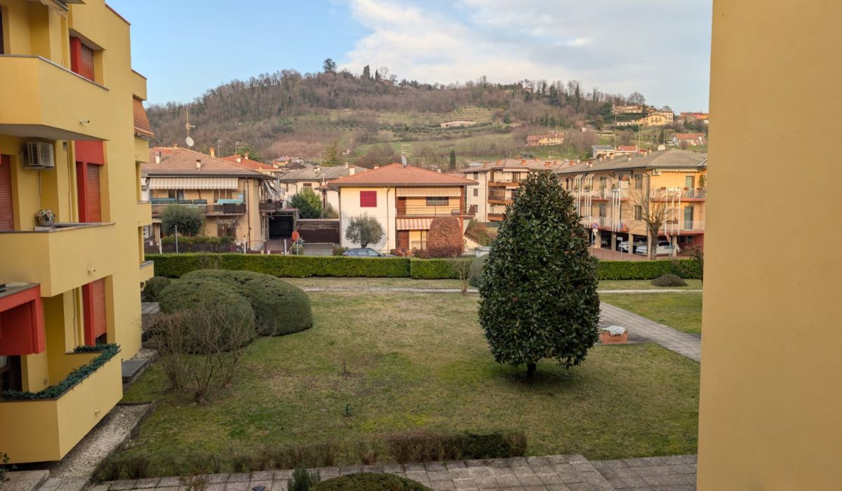 WhatsApp Image 2026-02-16 at 16.50.12 (2)