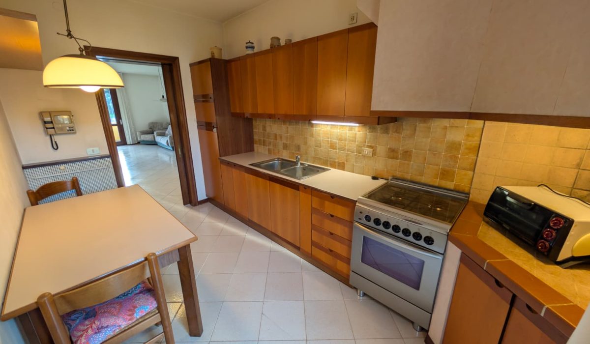 WhatsApp Image 2026-02-16 at 16.50.13